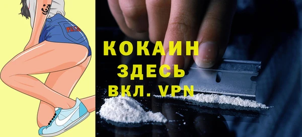 гидра Вязники