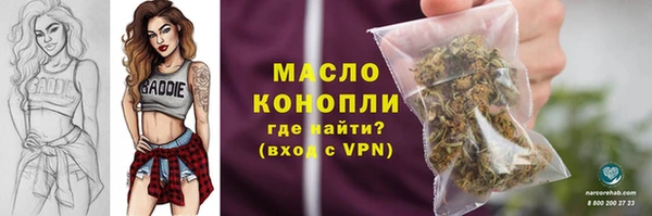 гидра Вязники